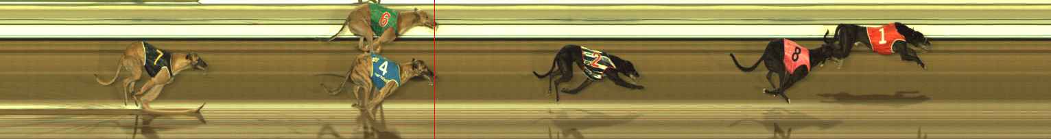 Race result finish photo